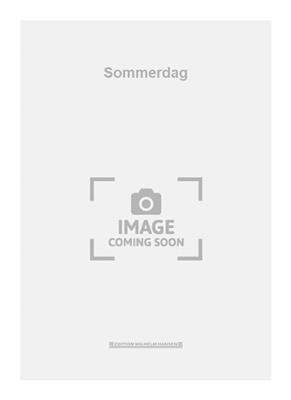 Sommerdag